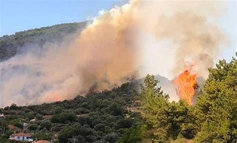 İ­z­m­i­r­­d­e­ ­o­r­m­a­n­ ­y­a­k­ı­n­ı­n­d­a­ ­y­a­n­g­ı­n­ ­-­ ­Y­a­ş­a­m­ ­H­a­b­e­r­l­e­r­i­